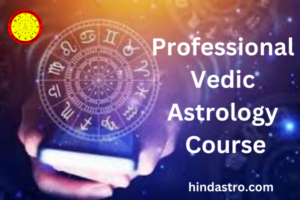 professional Vedic astrology courses